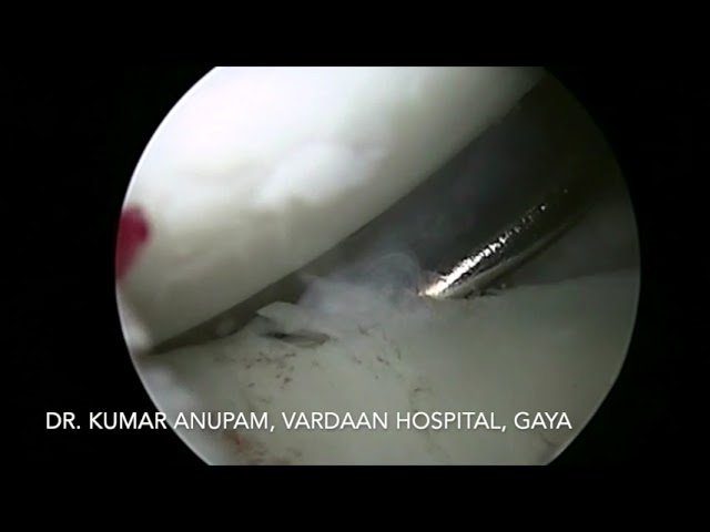 f8867592-0de0-4cb7-9533-b658311b75d1