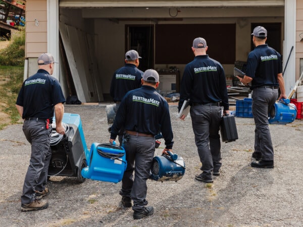 7e942452-291e-4430-ad5c-848208a833d1