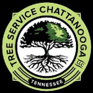 341a7e22-9a61-4b76-aa86-0c1deec2ad56